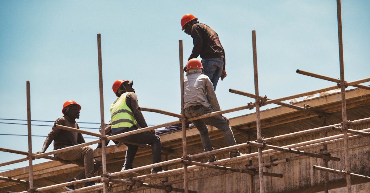 极速旋风详情下载教程app