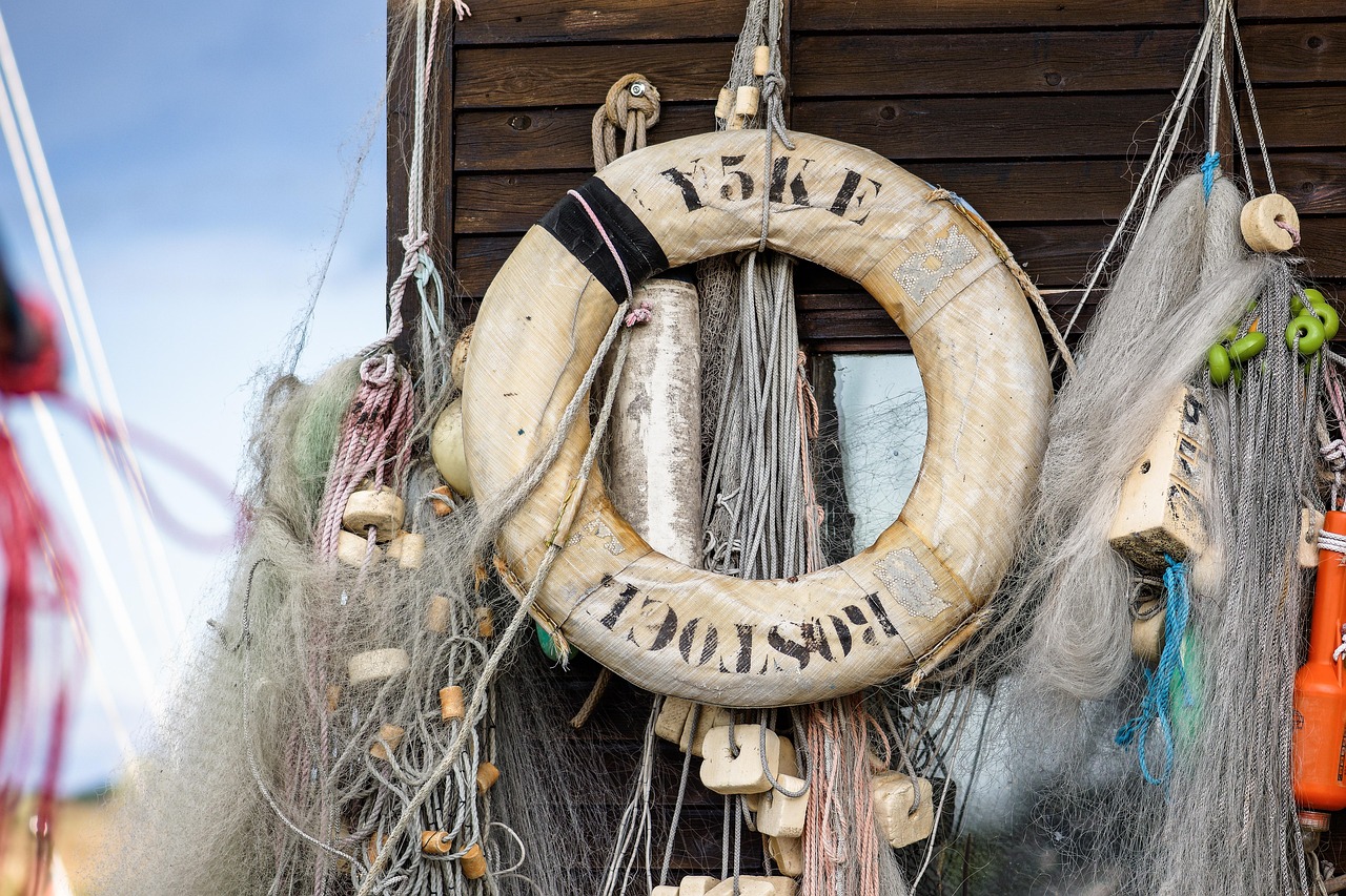 乐视云app官方详情下载教程