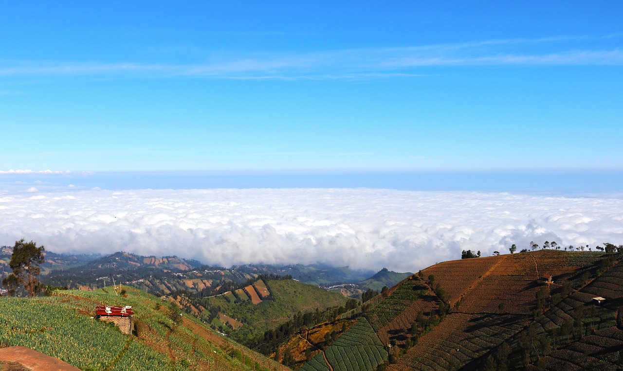 支付宝号买卖：流量卡的使用地点和路线规划