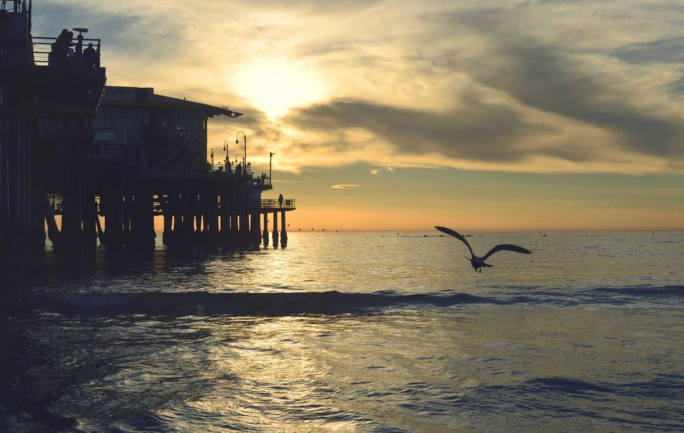 如何利用网站架构来提高SEO排名