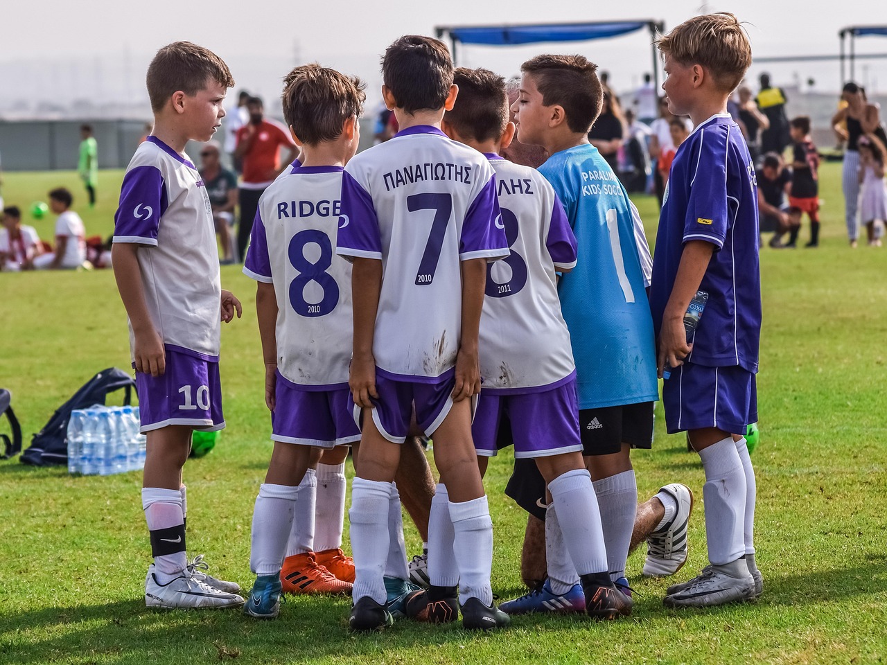 京东云实名账号：代理猫财税公司注册