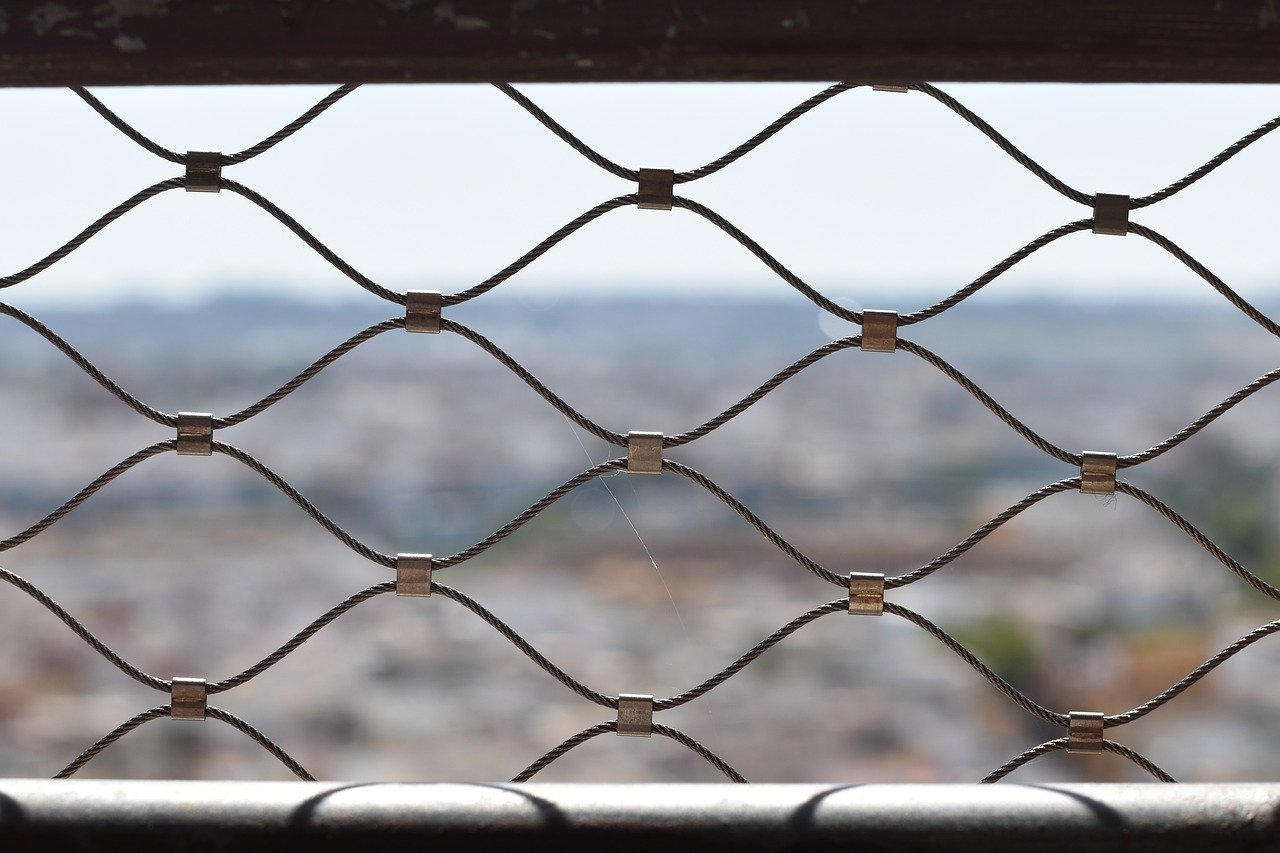 京东通信实名账号：中时电子报app详情下载教程