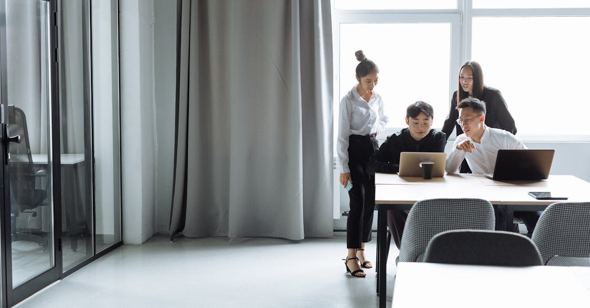 Mond梦都蓝莓：沈阳代理注册的公司